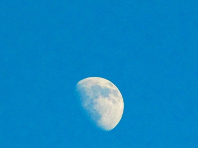 33. C - Half Moon - Innisfil, Ontario, Canada July 2014. (SM CADMAN)